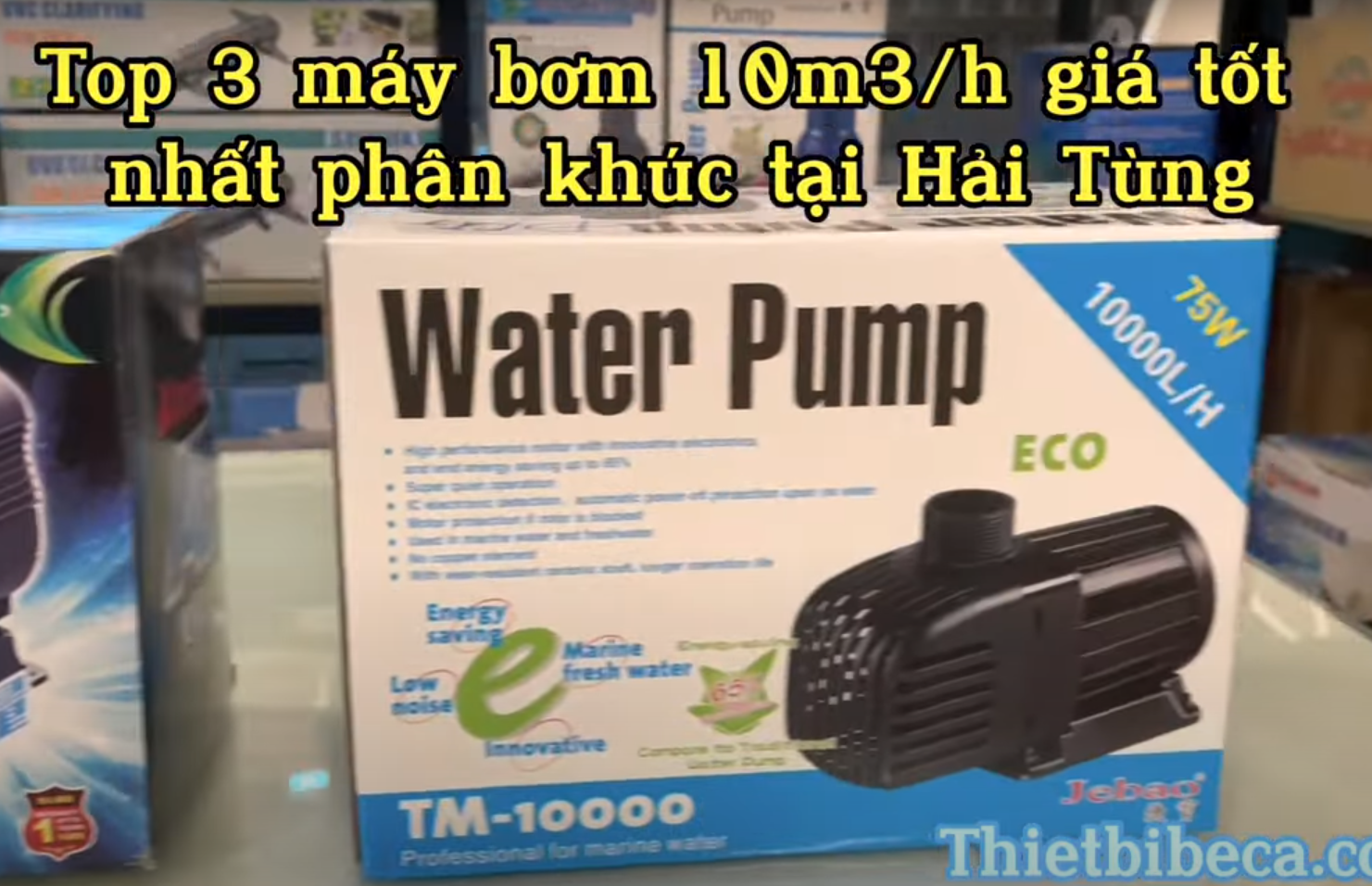 Top 3 máy bơm hồ Koi 10m3 với chi phí tiết kiệm nhất trong cùng phân khúc