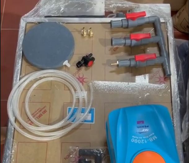 Hướng dẫn lắp Máy sủi hồ koi với đĩa sủi theo 3 cách