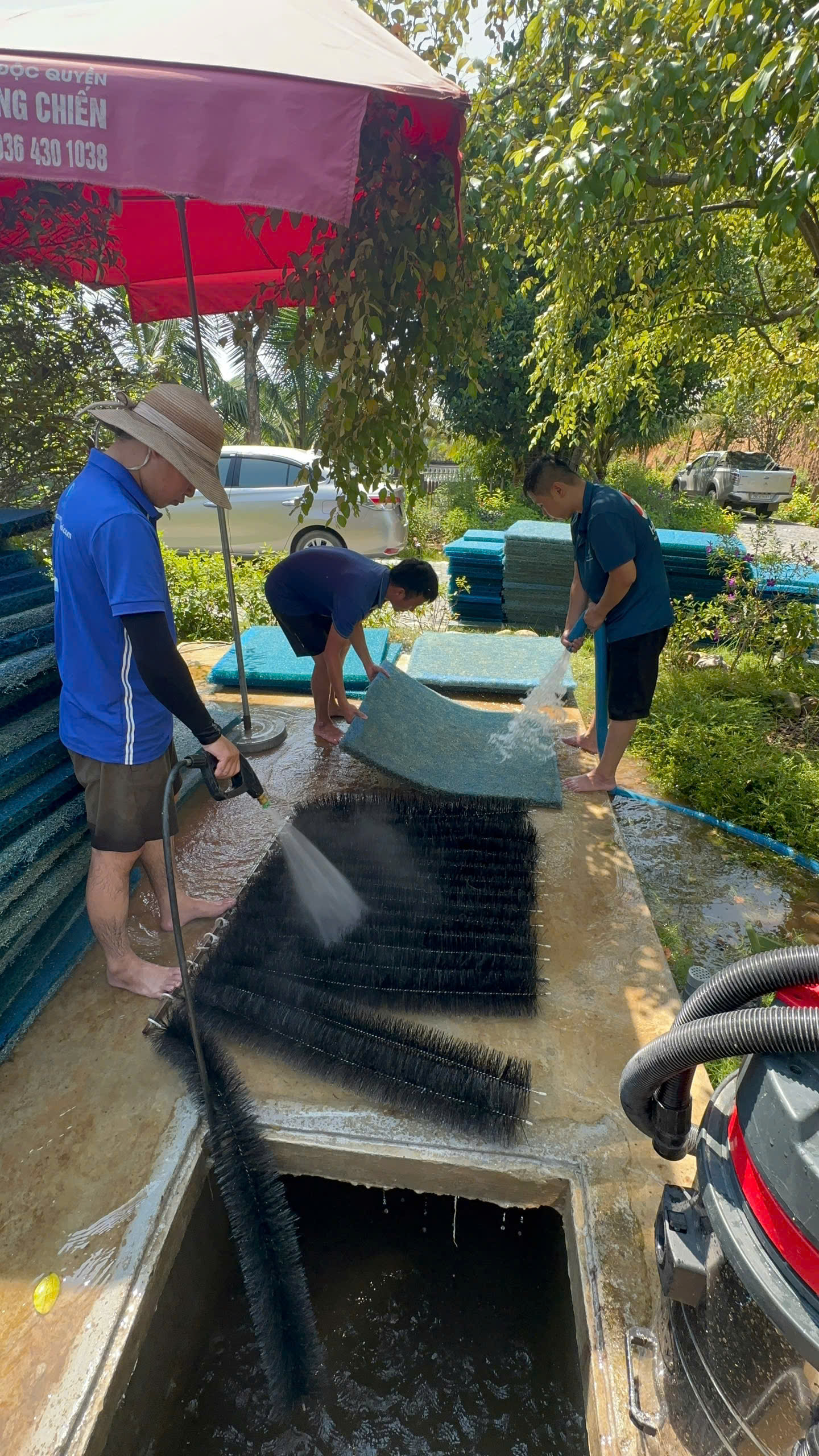 Dịch vụ vệ sinh hồ cá koi ngoài trời