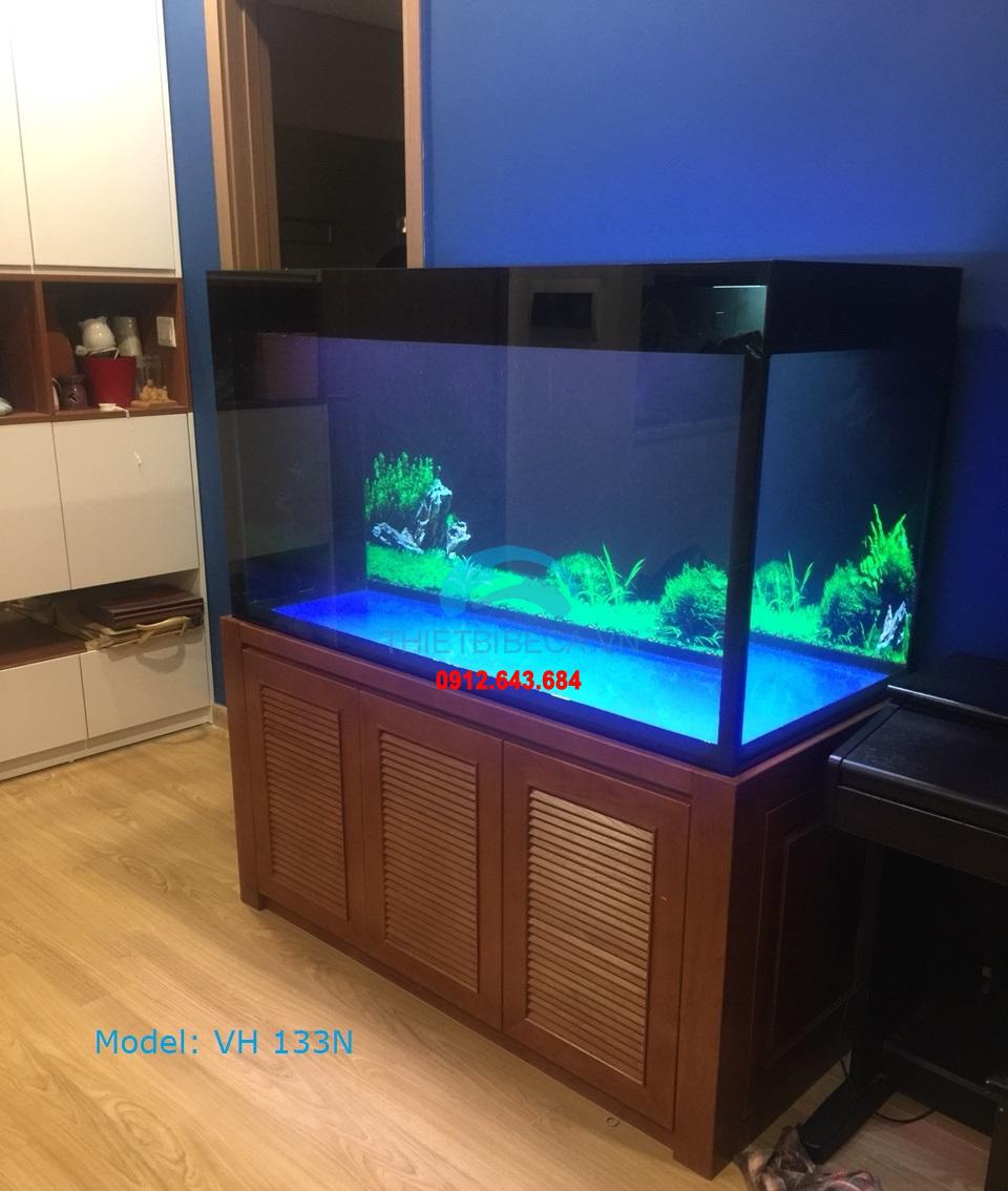 Bể cá rồng 133