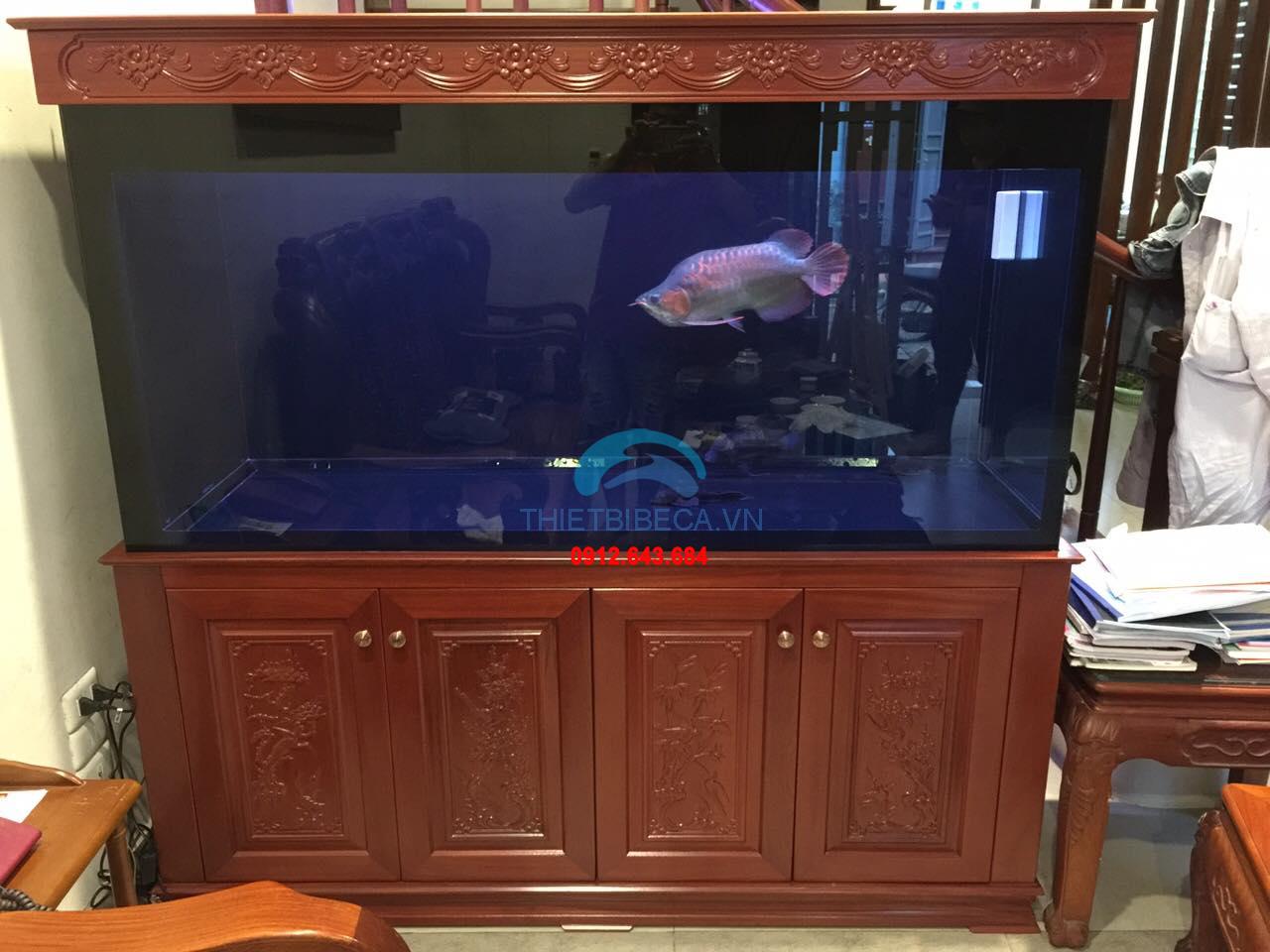 Bể cá rồng 155-C có chạm chân