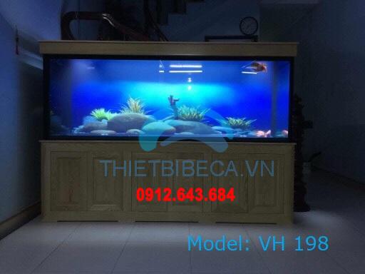 Bể cá rồng 198