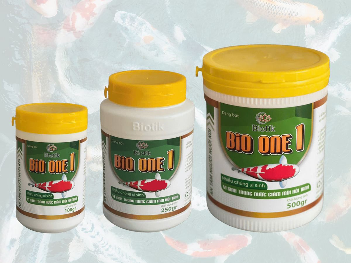 BIOTIK BIO ONE 1 – VI SINH LÀM TRONG NƯỚC, GIẢM MÙI HÔI TANH