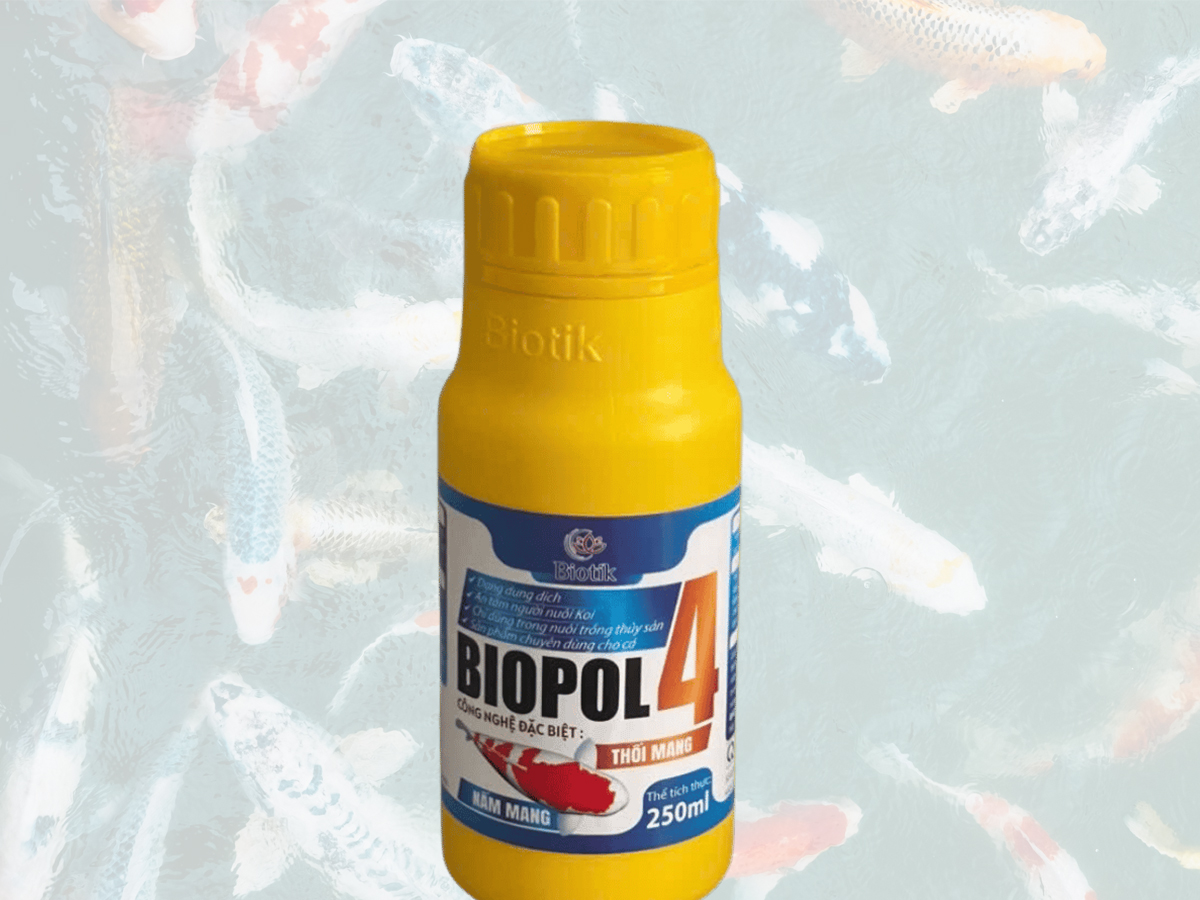 BIOTIK BIOPOL 4 – KIỂM SOÁT NẤM, HỖ TRỢ BẢO VỆ MANG