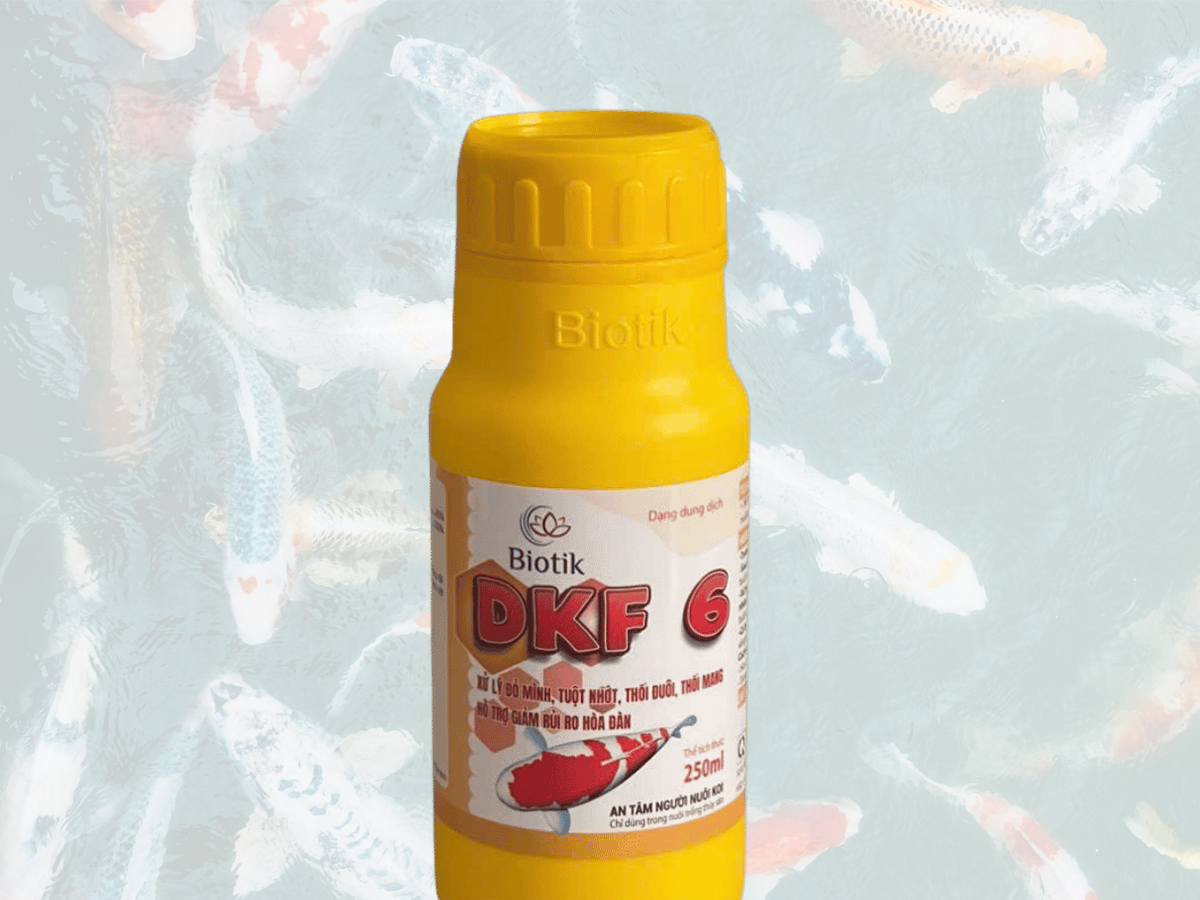 BIOTIK DKF 6 – KIỂM SOÁT VI KHUẨN, NẤM VÀ NGUYÊN SINH ĐỘNG VẬT