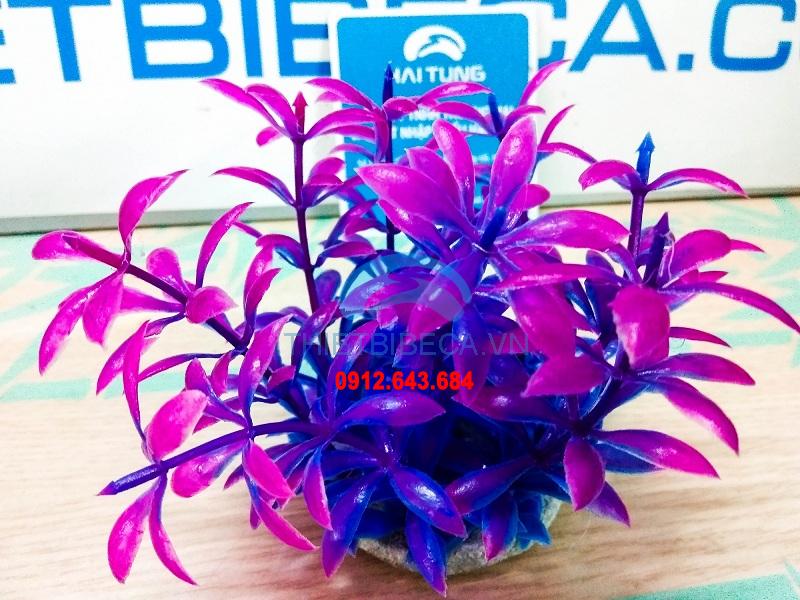 Cây nhựa bé 13