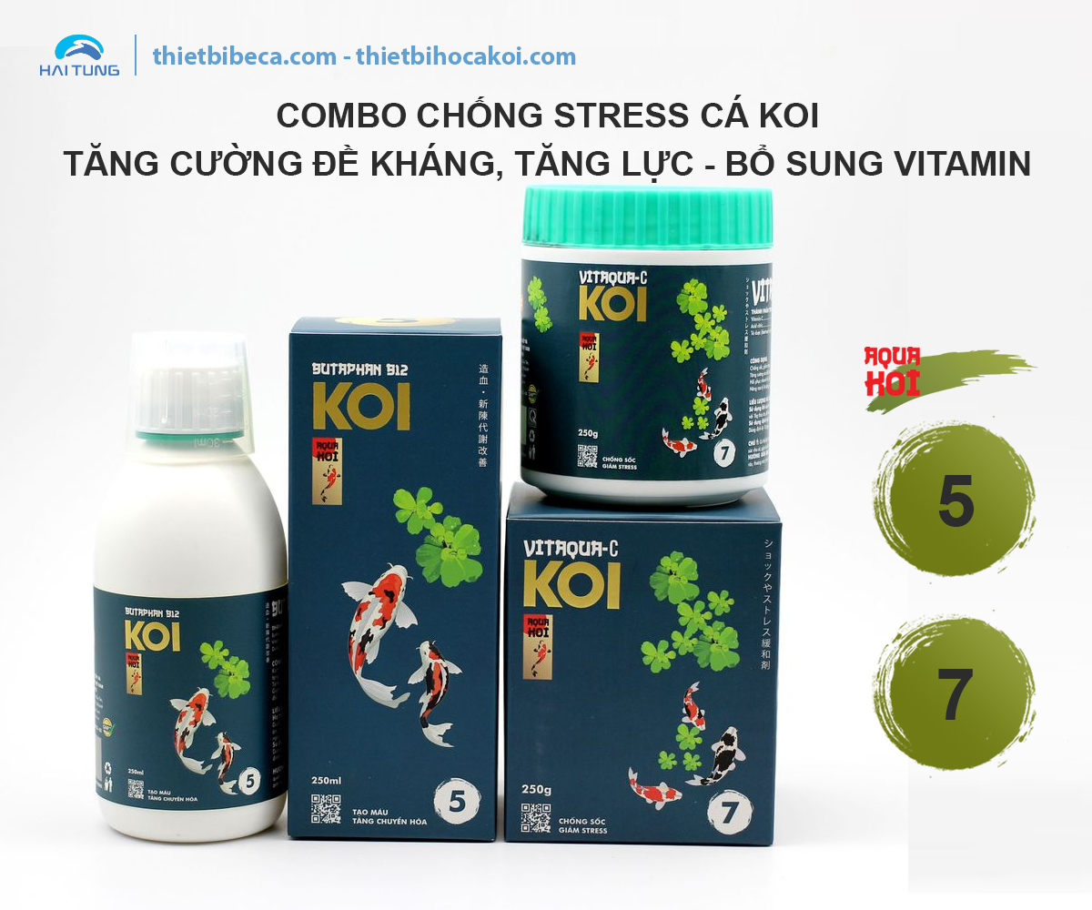 COMBO chống Stress Cá Koi 5-7 AquaKoi