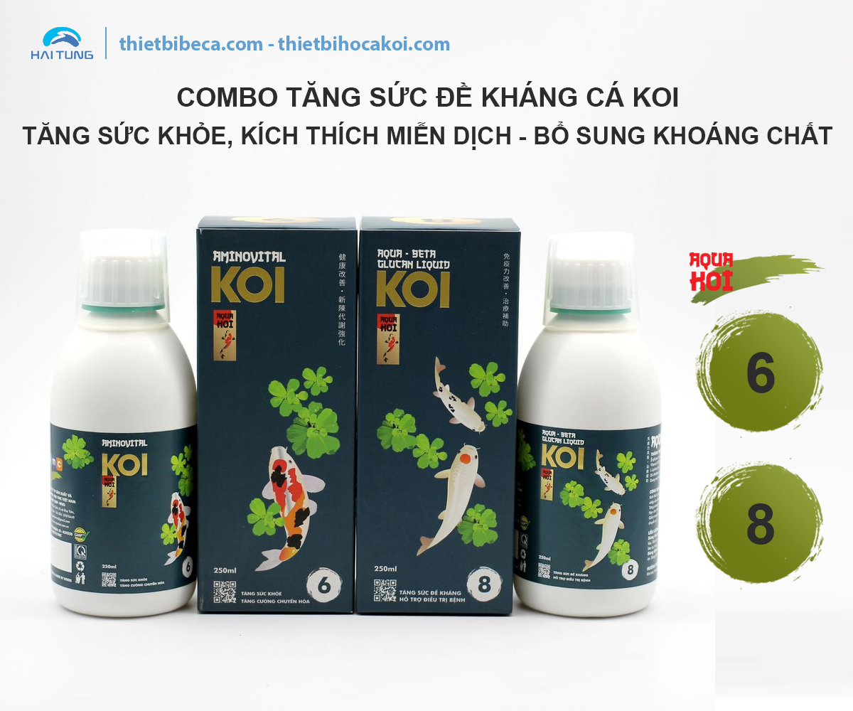 COMBO Tăng sức đề kháng cá koi 6-8 AquaKoi