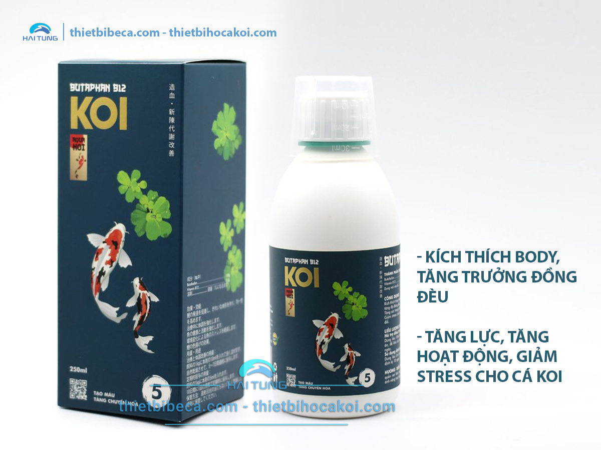 Số 5 Kích thích tăng trưởng, tăng lực, giảm Stress cá Koi BUTAPHAN B12 (AquaKoi)