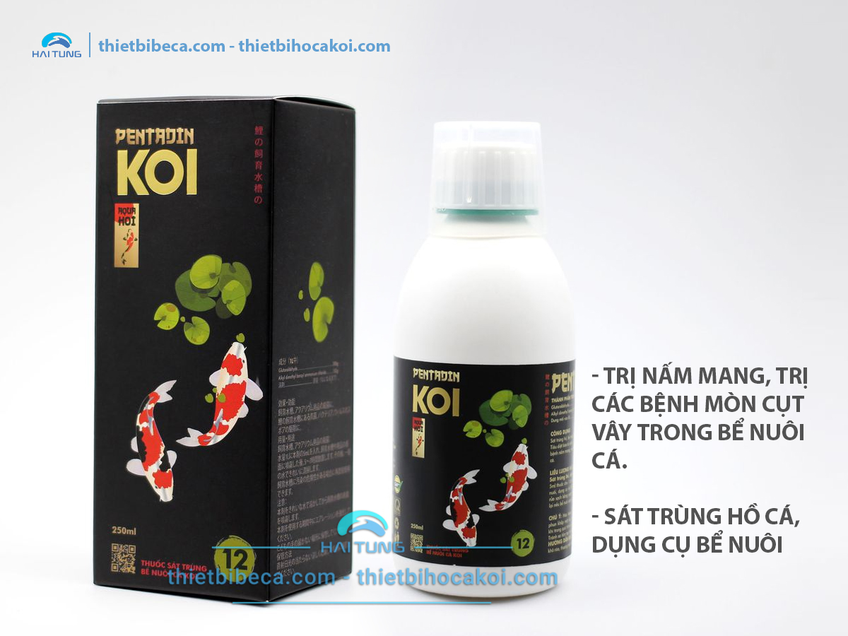 số 12 Trị Nấm Mang, mục vây, mục đuôi, sát khuẩn hồ Koi PENTADIN (AquaKoi)