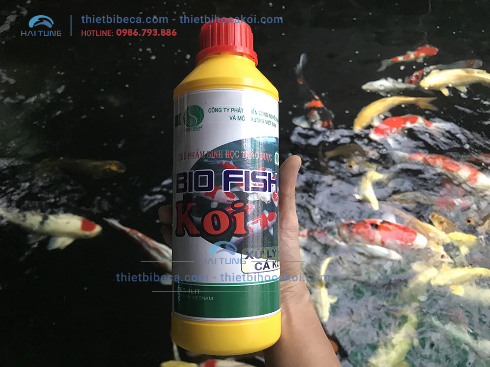 Vi Sinh Hồ Koi BIO FISH KOI 1000ml