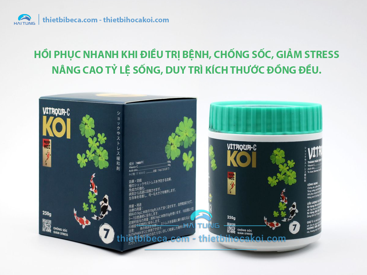 Số 7 Vitamin hỗ trợ điều trị bệnh cá Koi VITAQUA - C, chống sốc, giảm stress (AquaKoi)