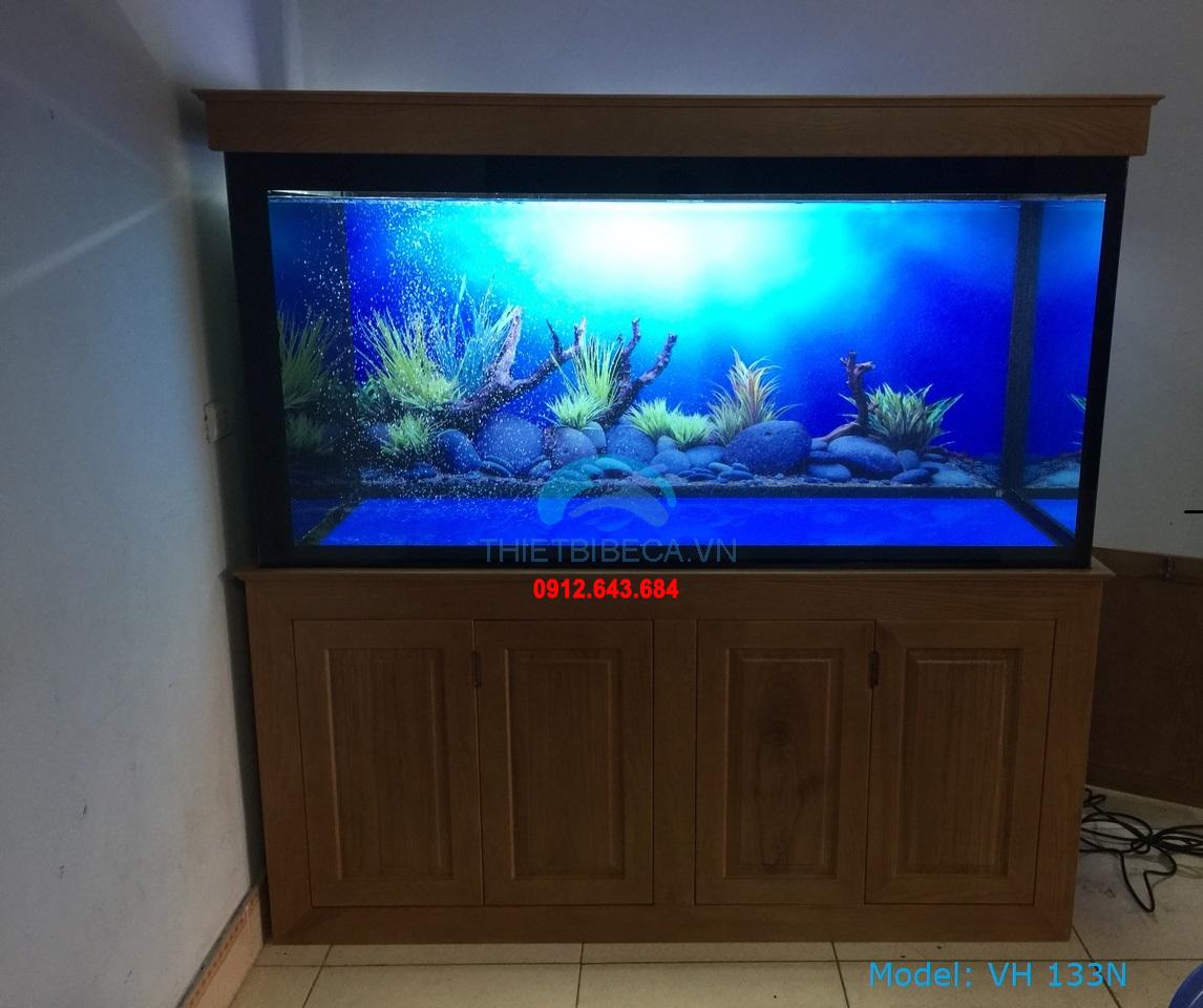 Bể cá rồng 133