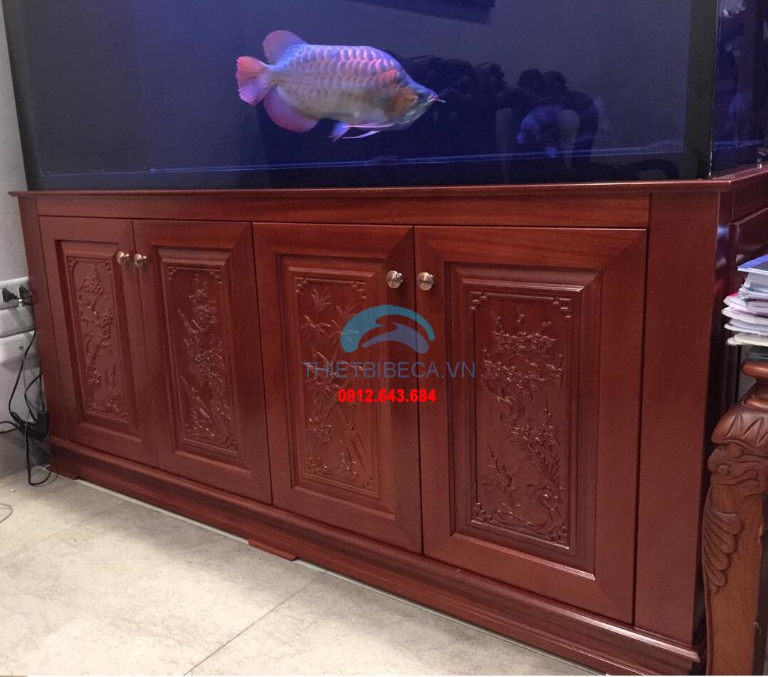 Bể cá rồng 198-C có chạm chân