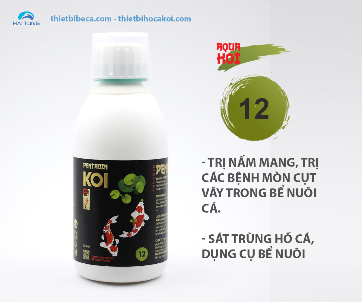 số 12 Trị Nấm Mang, mục vây, mục đuôi, sát khuẩn hồ Koi PENTADIN (AquaKoi)