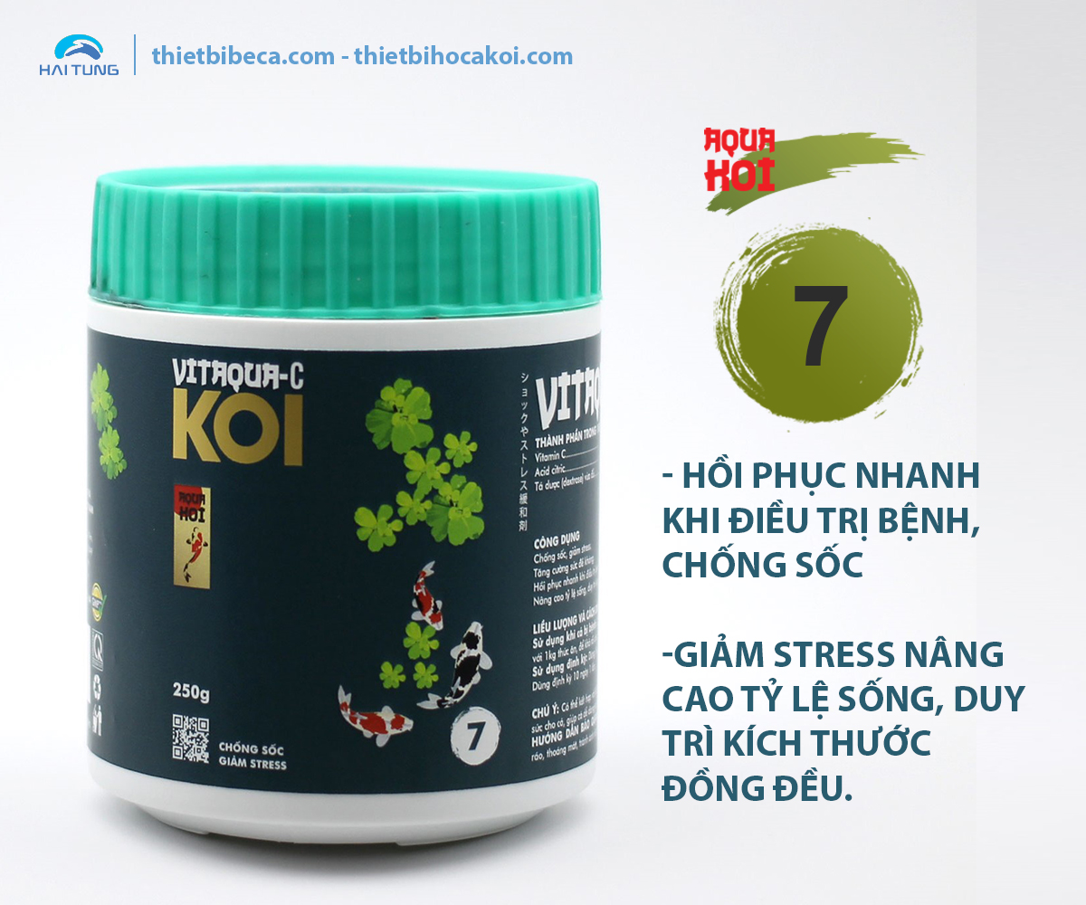 Số 7 Vitamin hỗ trợ điều trị bệnh cá Koi VITAQUA - C, chống sốc, giảm stress (AquaKoi)