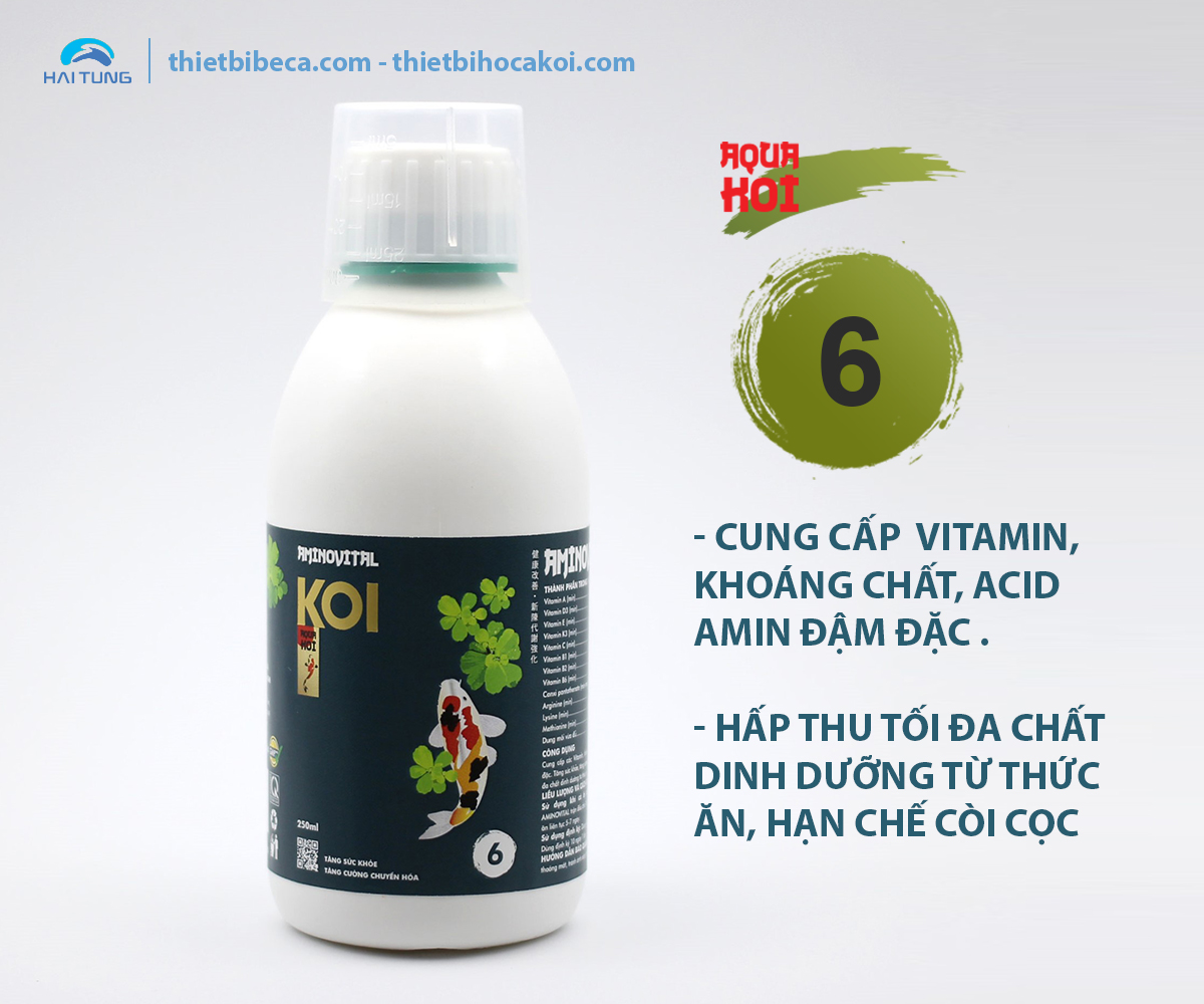 Số 6 Vitamin và Khoáng Chất cho cá Koi, tăng sức khỏe, hạn chế còi cọc AMINOVITAL (AquaKoi)