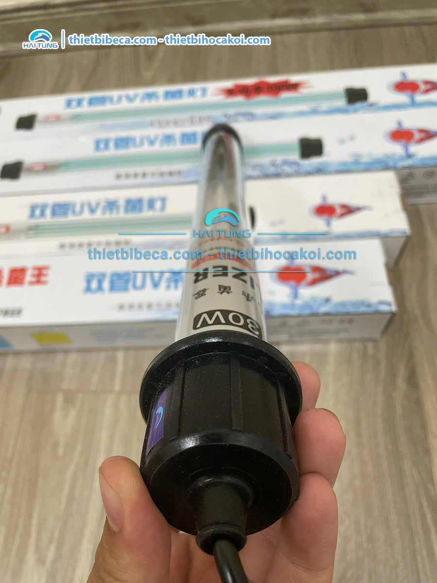 Đèn UV King diệt khuẩn diệt tảo hồ Koi 60w có đối trọng