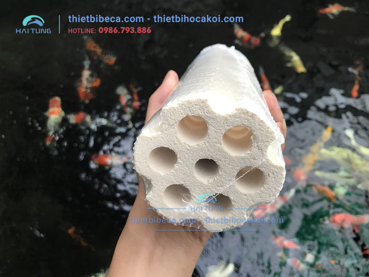 sứ lọc xoắn ốc Mountain Tree Lotus Root Bacteria House III