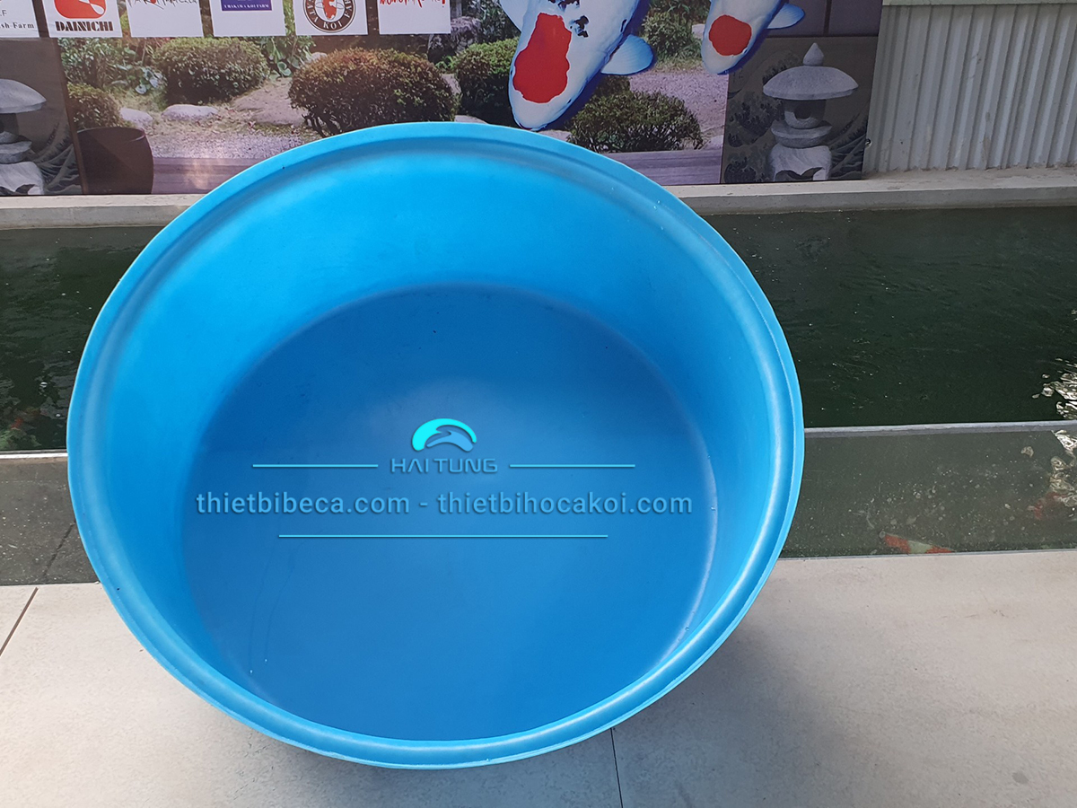 tank nhựa tròn thấp quay cá, dưỡng cá 400l