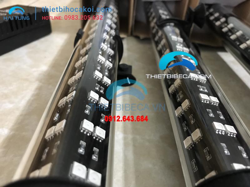 Đèn led cá rồng XML100 hồng 2 hàng bóng