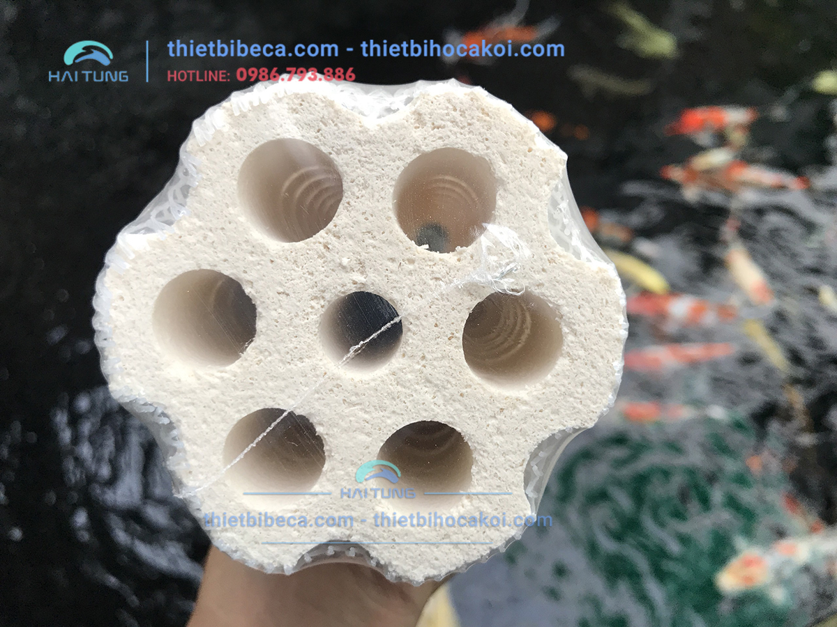 sứ lọc xoắn ốc Mountain Tree Lotus Root Bacteria House III