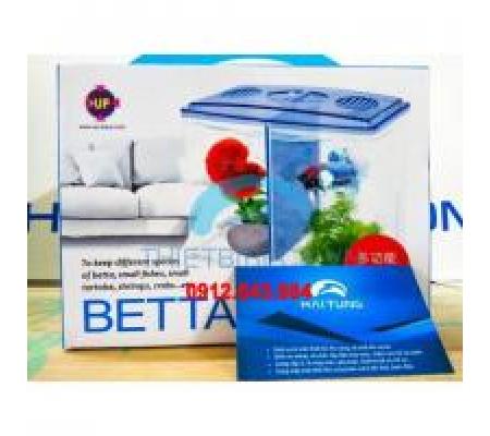 Bể nuôi cá chọi Betta Box