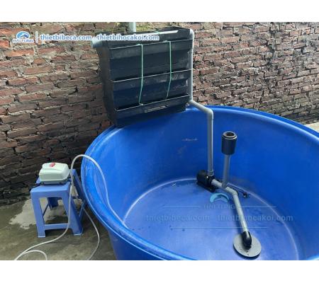 Combo tank dưỡng cá, tank nuôi cá nhiều kích cỡ